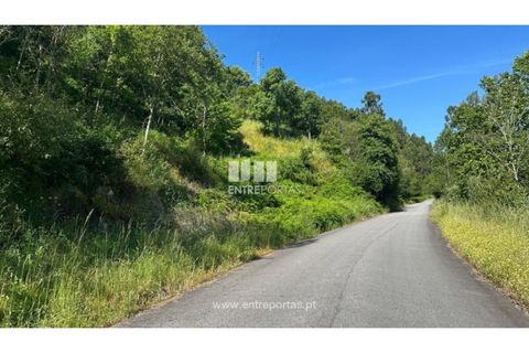 Tomt i Cinfaes, Viseu, Cinfaes - € 65 000 | Ref: MC09800 - foto 7