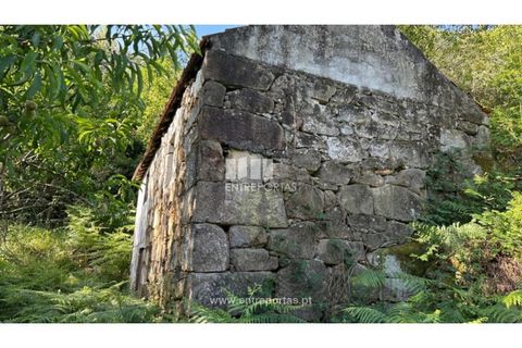 Tomt i Cinfaes, Viseu, Cinfaes - € 65 000 | Ref: MC09800 - foto 8