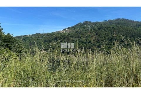 Tomt i Cinfaes, Viseu, Cinfaes - € 65 000 | Ref: MC09800 - foto 10