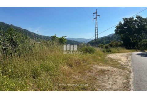 Tomt i Cinfaes, Viseu, Cinfaes - € 65 000 | Ref: MC09800 - foto 11