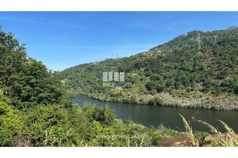 Tomt i Cinfaes, Viseu, Cinfaes - € 65 000 | Ref: MC09800 - foto 12