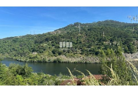 Tomt i Cinfaes, Viseu, Cinfaes - € 65 000 | Ref: MC09800 - foto 13