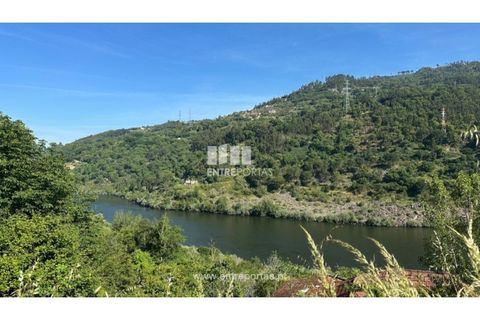 Tomt i Cinfaes, Viseu, Cinfaes - € 65 000 | Ref: MC09800 - foto 14
