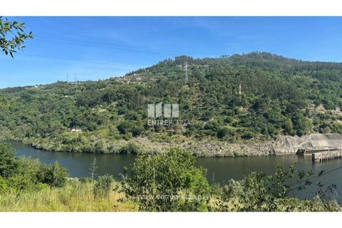 Tomt i Cinfaes, Viseu, Cinfaes - € 65 000 | Ref: MC09800 - foto 16