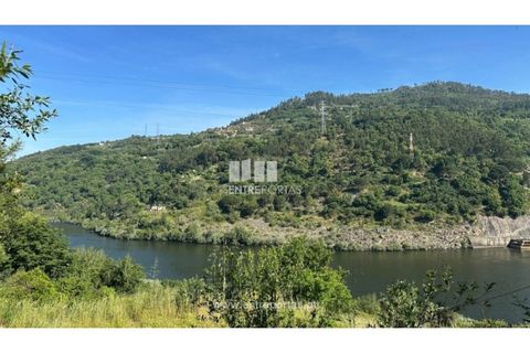 Tomt i Cinfaes, Viseu, Cinfaes - € 65 000 | Ref: MC09800 - foto 17