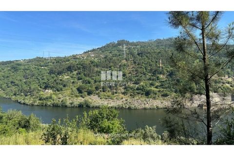 Tomt i Cinfaes, Viseu, Cinfaes - € 65 000 | Ref: MC09800 - foto 18