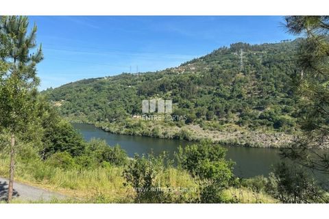 Tomt i Cinfaes, Viseu, Cinfaes - € 65 000 | Ref: MC09800 - foto 20