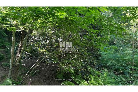 Tomt i Cinfaes, Viseu, Cinfaes - € 65 000 | Ref: MC09800 - foto 23
