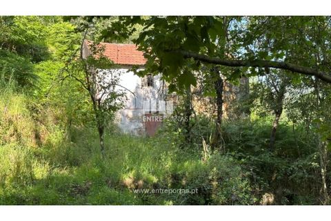 Tomt i Cinfaes, Viseu, Cinfaes - € 65 000 | Ref: MC09800 - foto 24