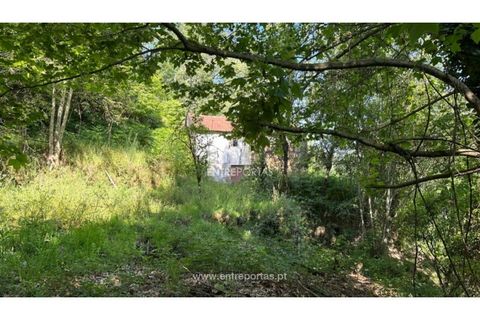 Tomt i Cinfaes, Viseu, Cinfaes - € 65 000 | Ref: MC09800 - foto 25