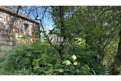 Tomt i Cinfaes, Viseu, Cinfaes - € 65 000 | Ref: MC09800 - foto 28