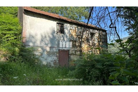 Tomt i Cinfaes, Viseu, Cinfaes - € 65 000 | Ref: MC09800 - foto 29