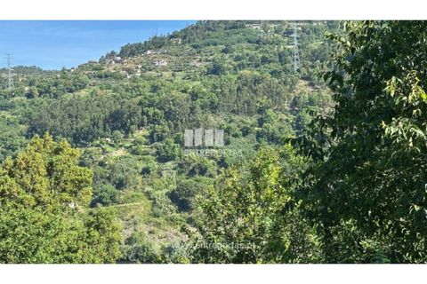 Tomt i Cinfaes, Viseu, Cinfaes - € 65 000 | Ref: MC09800 - foto 30