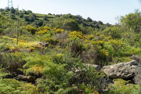 Helårsgrund i Conceicao e Estoi, Faro, Conceicao e Estoi - € 40.000 | Ref: 2276-1256 - foto 2