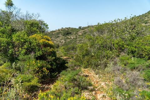 Helårsgrund i Conceicao e Estoi, Faro, Conceicao e Estoi - € 40.000 | Ref: 2276-1256 - foto 3