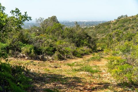 Helårsgrund i Conceicao e Estoi, Faro, Conceicao e Estoi - € 40.000 | Ref: 2276-1256 - foto 5