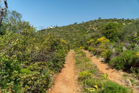 Helårsgrund i Conceicao e Estoi, Faro, Conceicao e Estoi - € 40.000 | Ref: 2276-1256 - foto 8