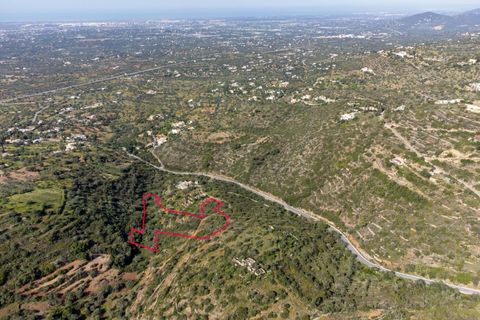 Helårsgrund i Conceicao e Estoi, Faro, Conceicao e Estoi - € 40.000 | Ref: 2276-1256 - foto 12
