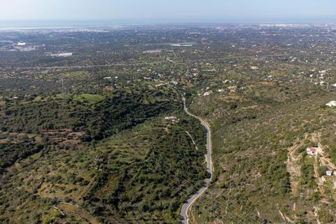 Helårsgrund i Conceicao e Estoi, Faro, Conceicao e Estoi - € 40.000 | Ref: 2276-1256 - foto 15