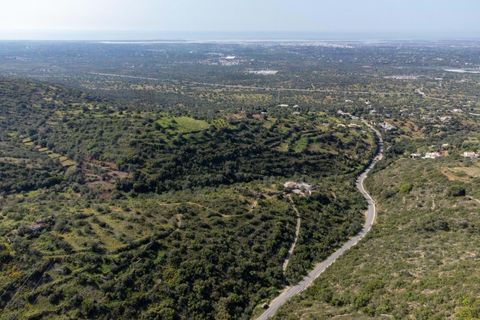 Helårsgrund i Conceicao e Estoi, Faro, Conceicao e Estoi - € 40.000 | Ref: 2276-1256 - foto 21