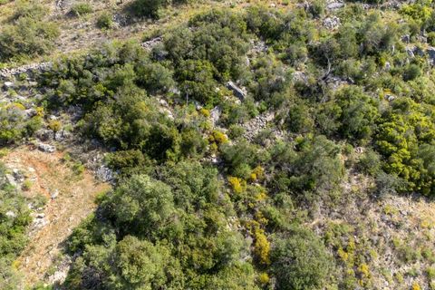 Helårsgrund i Conceicao e Estoi, Faro, Conceicao e Estoi - € 40.000 | Ref: 2276-1256 - foto 24