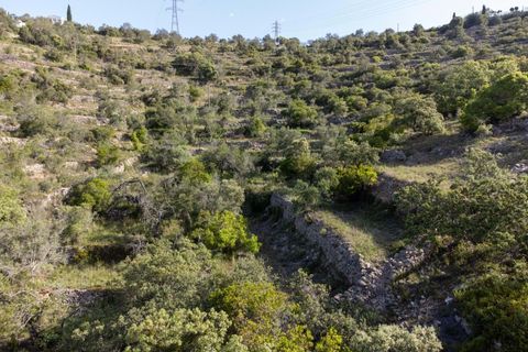 Helårsgrund i Conceicao e Estoi, Faro, Conceicao e Estoi - € 55.000 | Ref: 2276-1321 - foto 5