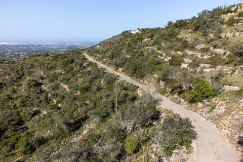 Helårsgrund i Conceicao e Estoi, Faro, Conceicao e Estoi - € 55.000 | Ref: 2276-1321 - foto 6