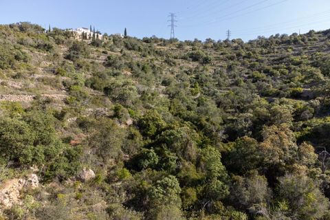 Helårsgrund i Conceicao e Estoi, Faro, Conceicao e Estoi - € 55.000 | Ref: 2276-1321 - foto 9