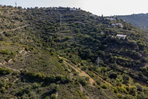 Helårsgrund i Conceicao e Estoi, Faro, Conceicao e Estoi - € 55.000 | Ref: 2276-1321 - foto 11