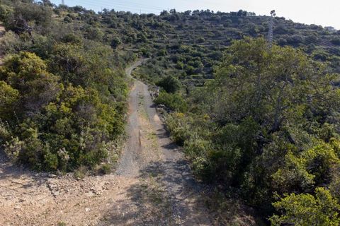 Helårsgrund i Conceicao e Estoi, Faro, Conceicao e Estoi - € 55.000 | Ref: 2276-1321 - foto 13
