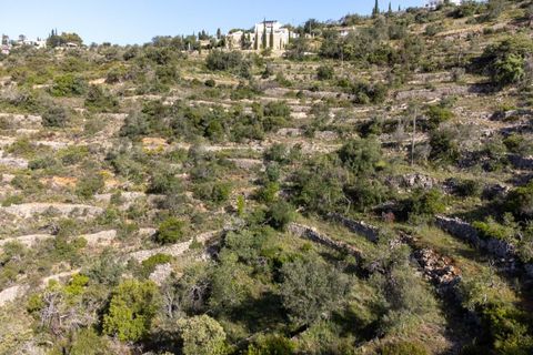 Helårsgrund i Conceicao e Estoi, Faro, Conceicao e Estoi - € 55.000 | Ref: 2276-1321 - foto 15