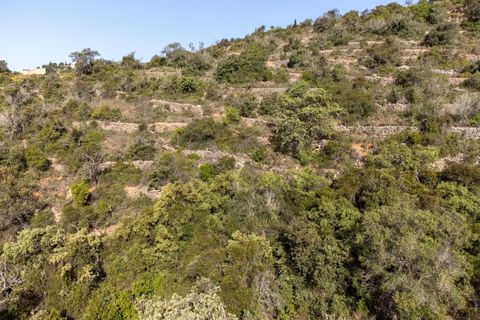 Helårsgrund i Conceicao e Estoi, Faro, Conceicao e Estoi - € 55.000 | Ref: 2276-1321 - foto 16