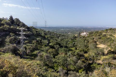 Helårsgrund i Conceicao e Estoi, Faro, Conceicao e Estoi - € 55.000 | Ref: 2276-1321 - foto 17