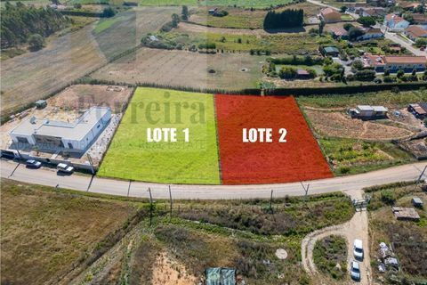 Helårsgrund i Torres Vedras, Lisbon, Torres Vedras - € 85.000 | Ref: RF-01-06/2025 - foto 6