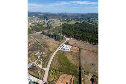 Helårsgrund i Torres Vedras, Lisbon, Torres Vedras - € 85.000 | Ref: RF-01-06/2025 - foto 10