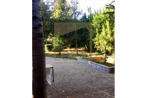 Villa i Guimaraes, Braga, Guimaraes - € 750.000 | Ref: CAS_884 - foto 33