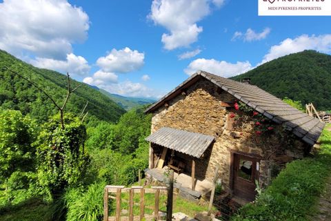 Landejendom i Massat, Ariege, Massat - € 160.000 | Ref: 3_DK118 - foto 1