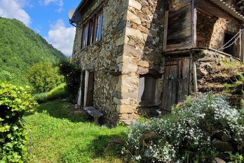 Landejendom i Massat, Ariege, Massat - € 160.000 | Ref: 3_DK118 - foto 3