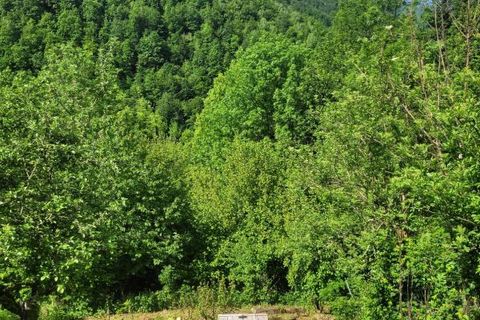 Landejendom i Massat, Ariege, Massat - € 160.000 | Ref: 3_DK118 - foto 18