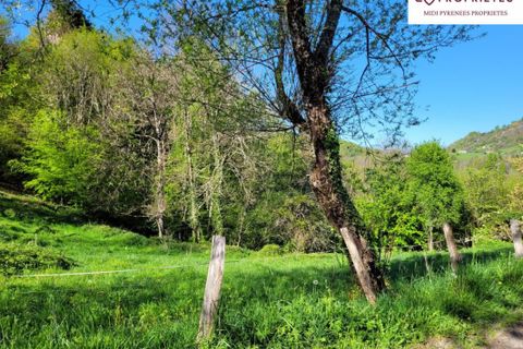 Villa a Biert, Ariege, Biert - € 239.000 | Ref: 3_DK113 - foto 17