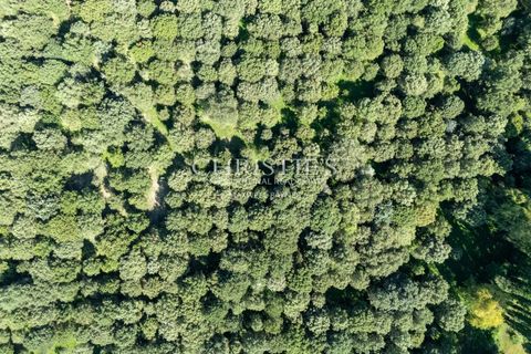 Landejendom i Agen, Lot-et-Garonne, Agen - € 1.750.000 | Ref: JV1082 - foto 5