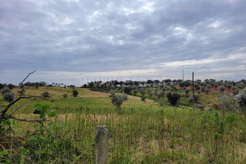 Villa a Alandroal, Evora, Alandroal - € 114.000 | Ref: 417240015 - foto 4