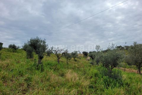 Villa a Alandroal, Evora, Alandroal - € 114.000 | Ref: 417240015 - foto 12