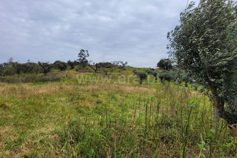 Villa a Alandroal, Evora, Alandroal - € 114.000 | Ref: 417240015 - foto 15