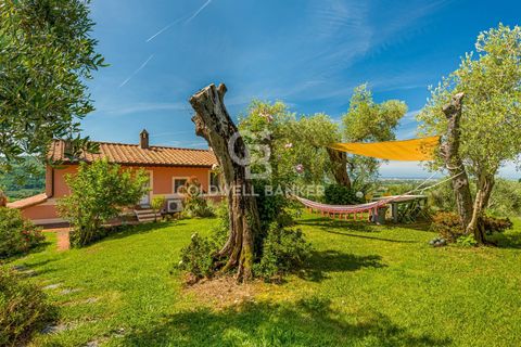 Landejendom i Massarosa, Lucca, Massarosa - € 2.200.000 | Ref: CBI129-2006-130485 - foto 11