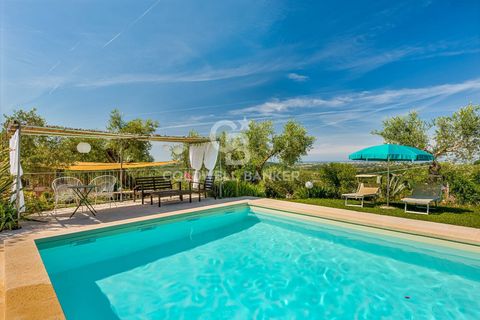 Landejendom i Massarosa, Lucca, Massarosa - € 2.200.000 | Ref: CBI129-2006-130485 - foto 14