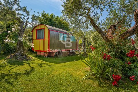 Landejendom i Massarosa, Lucca, Massarosa - € 2.200.000 | Ref: CBI129-2006-130485 - foto 17