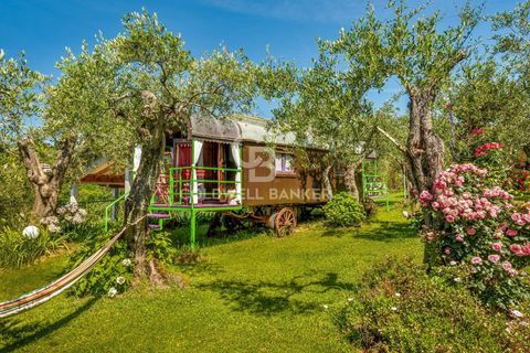 Landejendom i Massarosa, Lucca, Massarosa - € 2.200.000 | Ref: CBI129-2006-130485 - foto 20