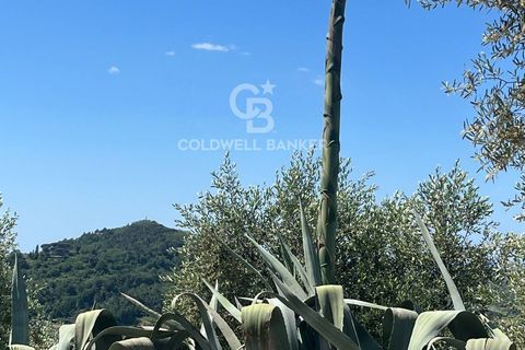 Landejendom i Massarosa, Lucca, Massarosa - € 2.200.000 | Ref: CBI129-2006-130485 - foto 26