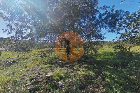 Terra a Estoi, Faro, Estoi - € 71.000 | Ref: SU-CS-TR-93403 - foto 3